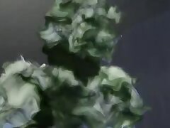 CGMD04 Starry Night Bike Ride Japanese Duo's Intimate Sky Adventure